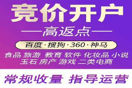SEM代理案例：揭秘成功背后的秘密